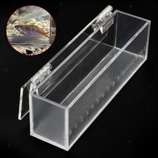Fish Viewing Box Acrylic Small