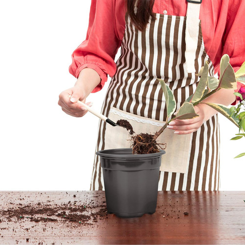 Plastic plant pots - pots, with