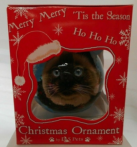 New himalayan cat - new,
