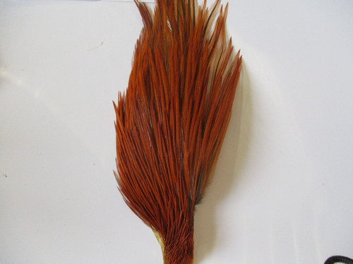 Genetic brown cock neck - genetic,