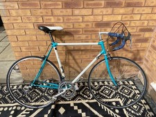 raleigh renold competition