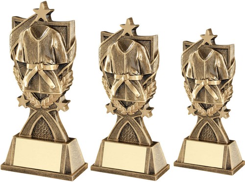 Martial arts award stars - award, gi