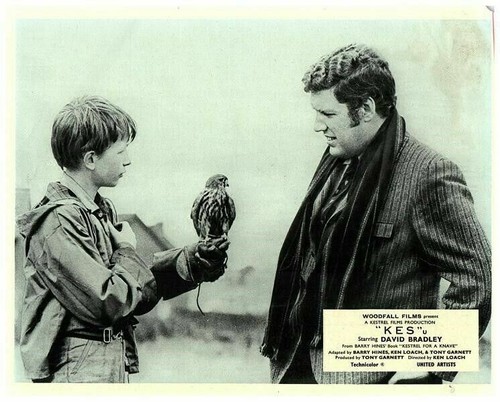 Kes original british - kes,