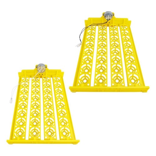 Egg incubator automatic - incubator,