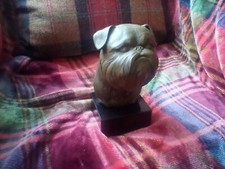 Griffon bruxellois bust statue