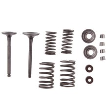 NEW INTAKE EXHAUST SPRING