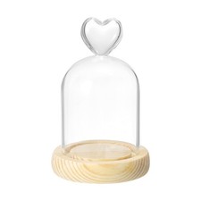 3.1" x 2.4" Glass Dome Cloche