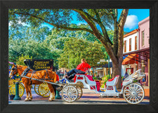 Carriage Tours Savannah Framed