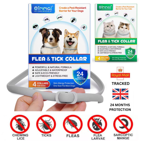 Dog cat flea - dog,