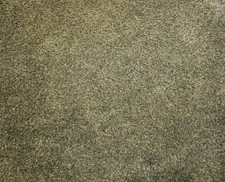 Turtle Mat - Dirt Trapper -
