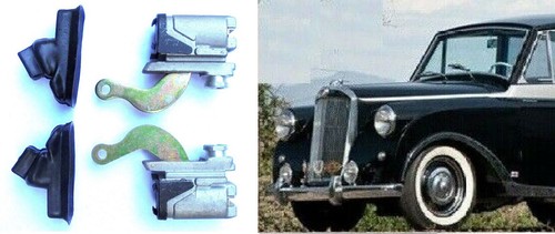 Triumph mayflower renown - (x2),