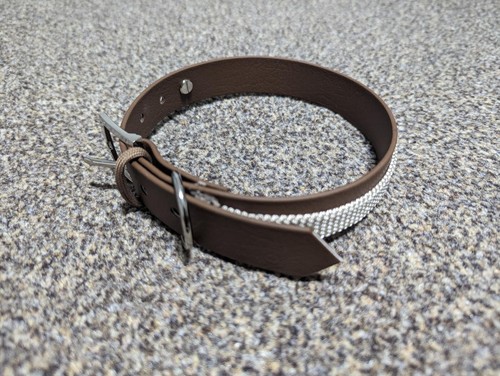 Waterproof dog collar with - dog,