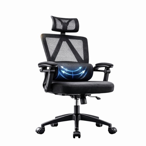 Executive ergonomic office - executive,