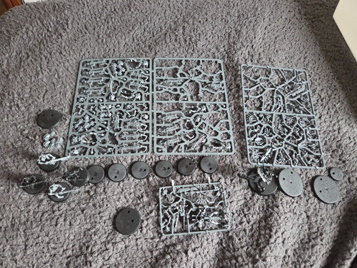 Necrons half elite starter set