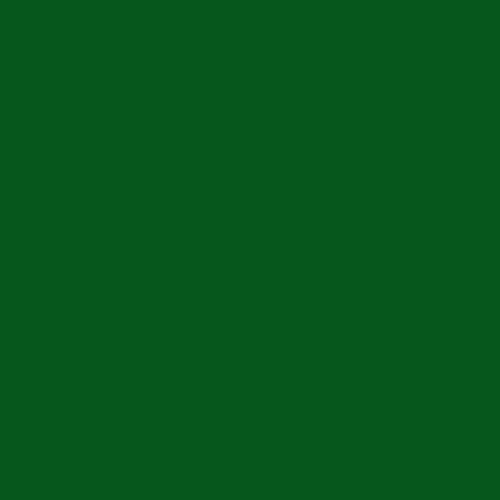 Dartfords cellulose guitar - dartfords,