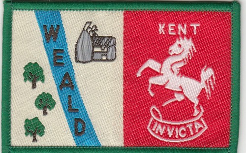 Boy scout double badge - boy,