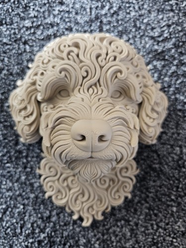 Bichon frise dog head - frise,