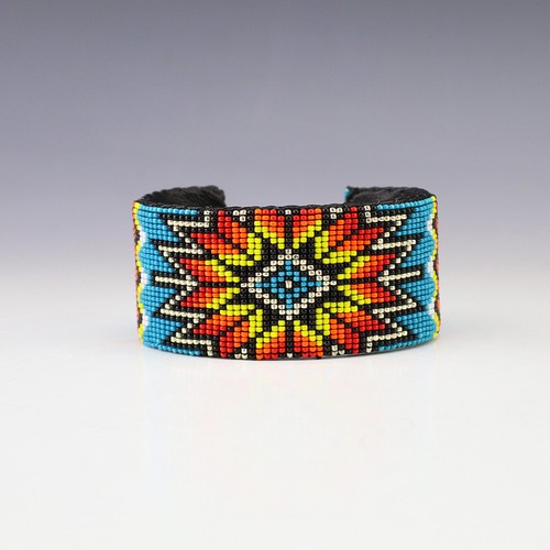 Native american navajo - american,
