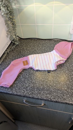 Italian greyhound dog clothing - greyhound,