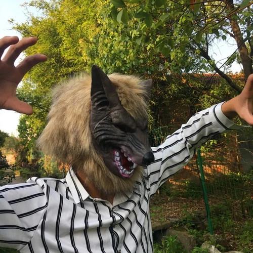 Werewolf halloween mask latex - werewolf,