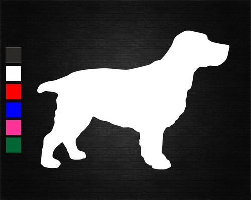 Cocker spaniel dog pet - spaniel,