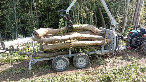 Tonnes hardwood logs - tonnes,