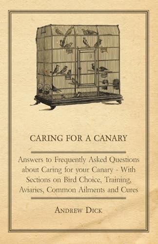 Caring for canary - canary,