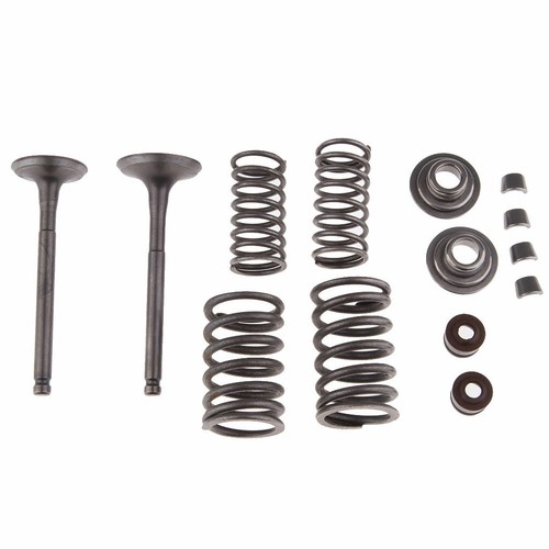 Intake exhaust valves spring - intake,