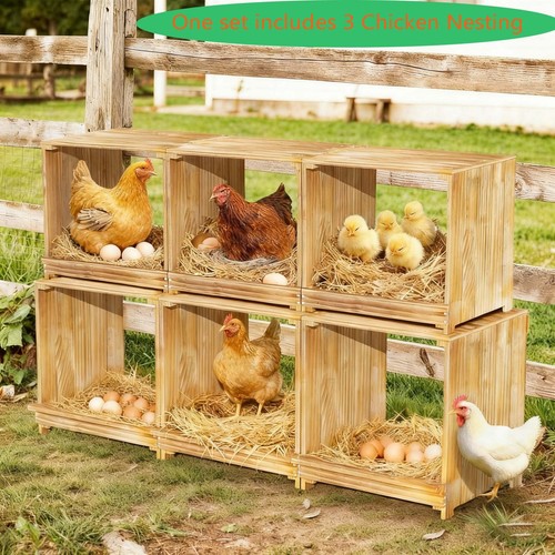 Stackable chicken hen coop - stackable,
