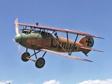 Belair Albatros DV - 39"
