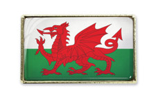 Wales Flag Pin Badge (Gold)