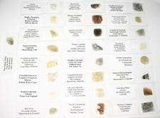 Geological Formation 25 Thin