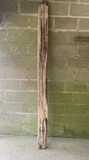 English beech hardwood - beech, length