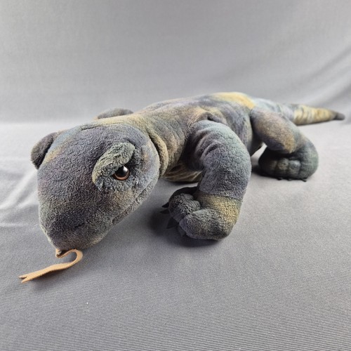 Wild republic monitor lizard - wild,