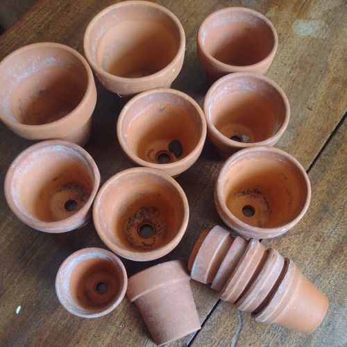 Terracotta small mini - terracotta, plant