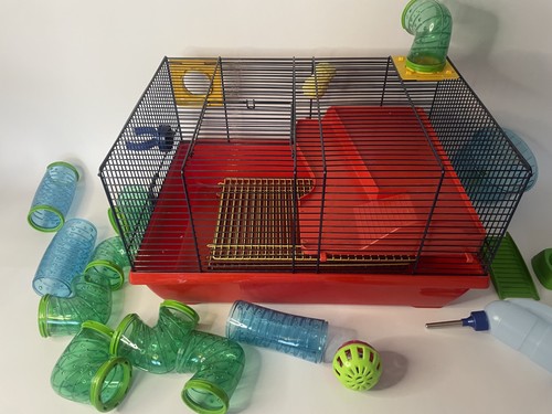 Rodent gerbil mouse mice - rodent,