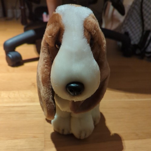 Official hush puppies - hush,