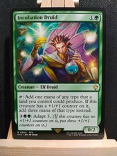 Incubation Druid - Final