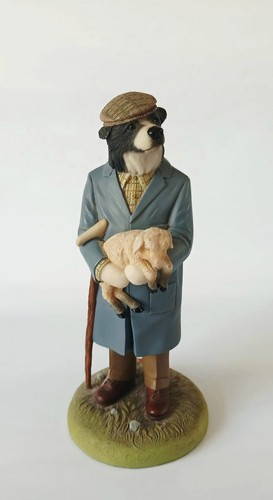 Robert harrop border collie - robert,