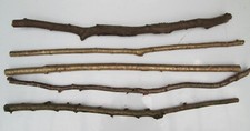 5 x 90cm Natural Branches Wood
