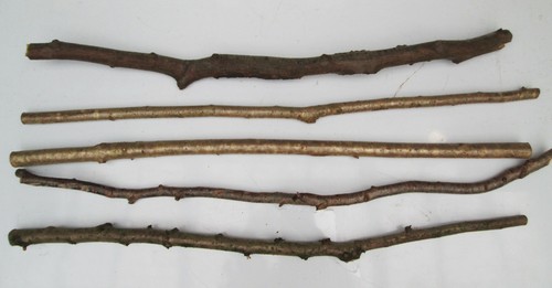 90cm natural branches wood - x,