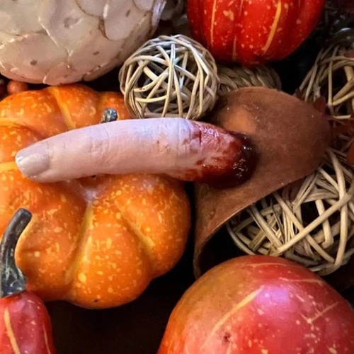 Severed fingers prop - fingers, chopped