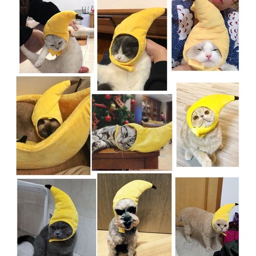 Costume headwear cosplay dress - costume,