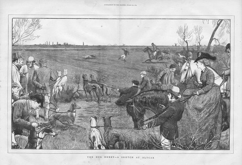Hare coursing scene - coursing,