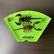 Afghanistan Real Scorpion ISAF