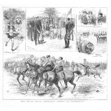 CANTERBURY Royal Horse