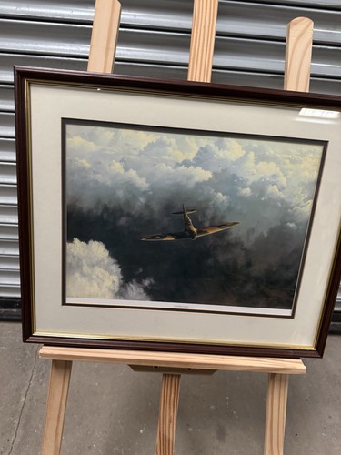 Evening flight gerard - evening,