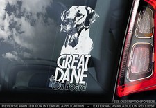 Great Dane - Car Window