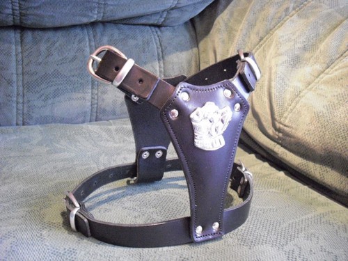 Black puppy leather dog - leather,