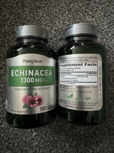 Piping rock echinacea - piping,